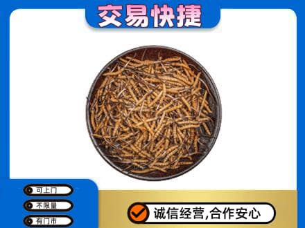 鹰潭贵溪市回收散虫草